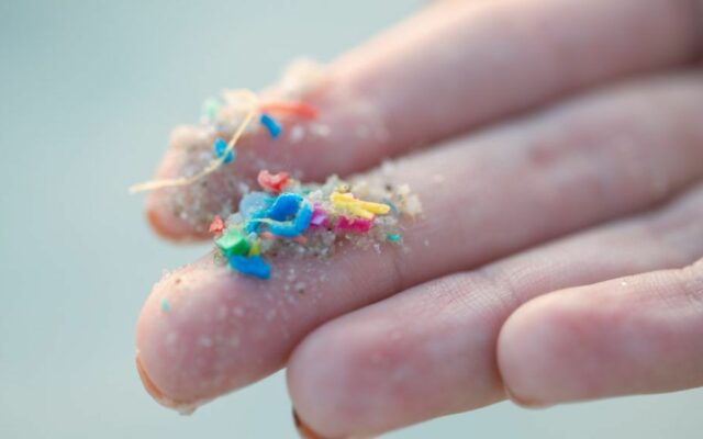 Common packaging microplastic may worsen fatty liver damage, study shows