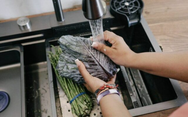 Cyclospora explained: 7 medical experts on how it spreads and how to avoid it