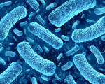 A digital rendering of Listeria monocytogenes bacteria at the microscopic level.