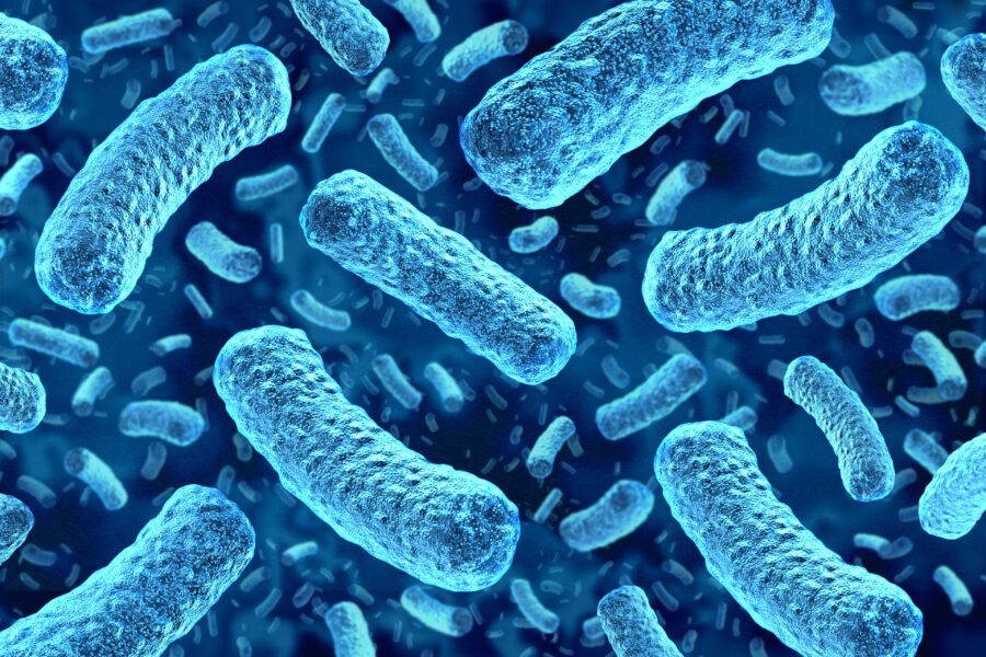 A digital rendering of Listeria monocytogenes bacteria at the microscopic level.