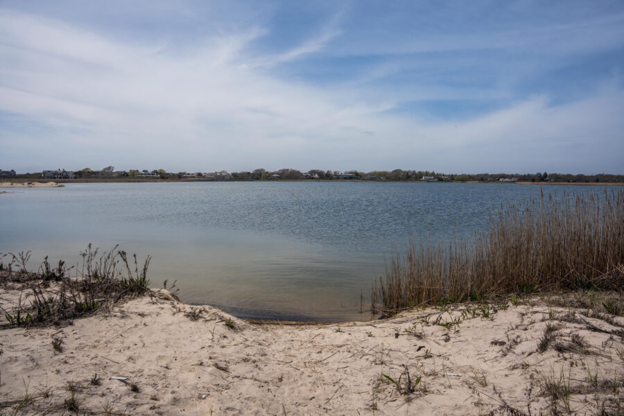 A view of a beach with dune grass and blue ocean in the distance.