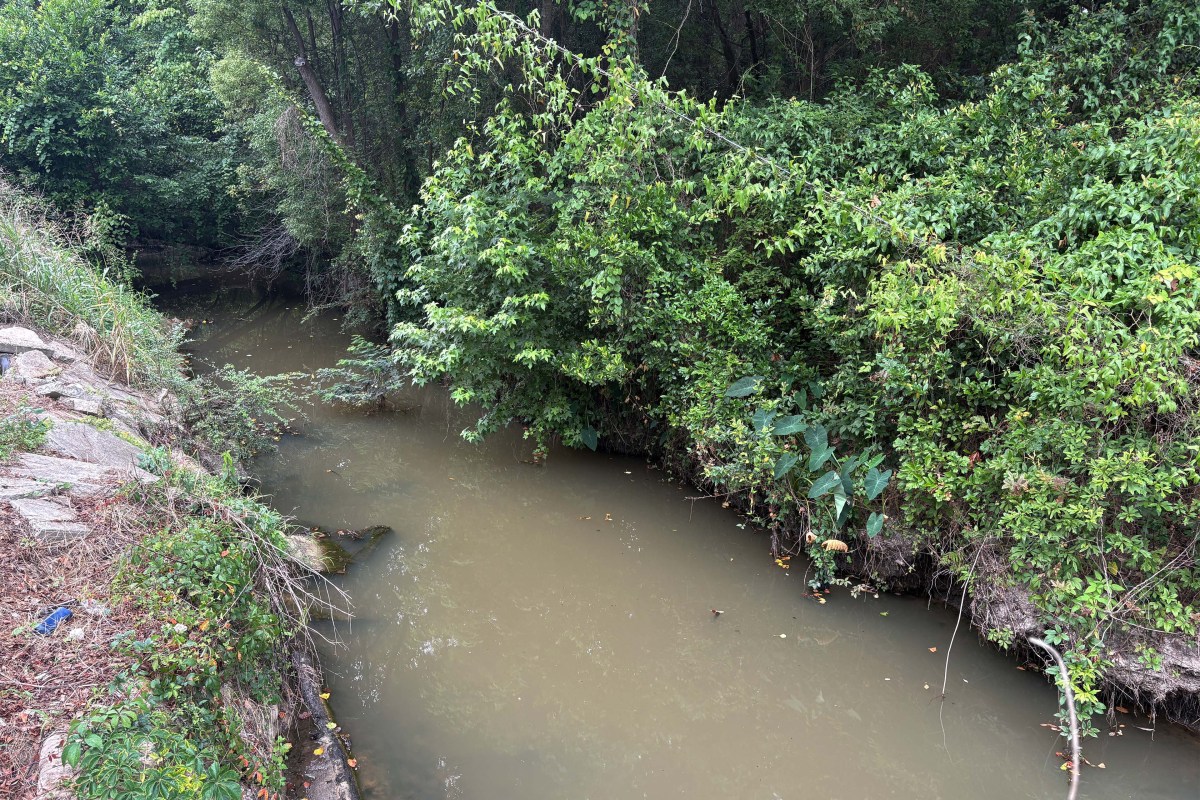 thomasville_02-min A view of creek with murky, brown water.