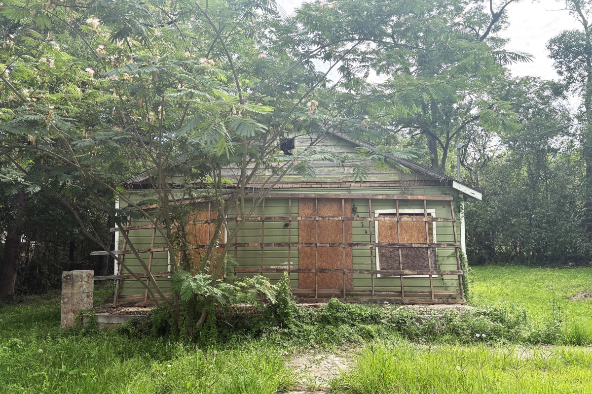 thomasville_04-min A photo of a boarded up house surrounded by overgrown foliage.