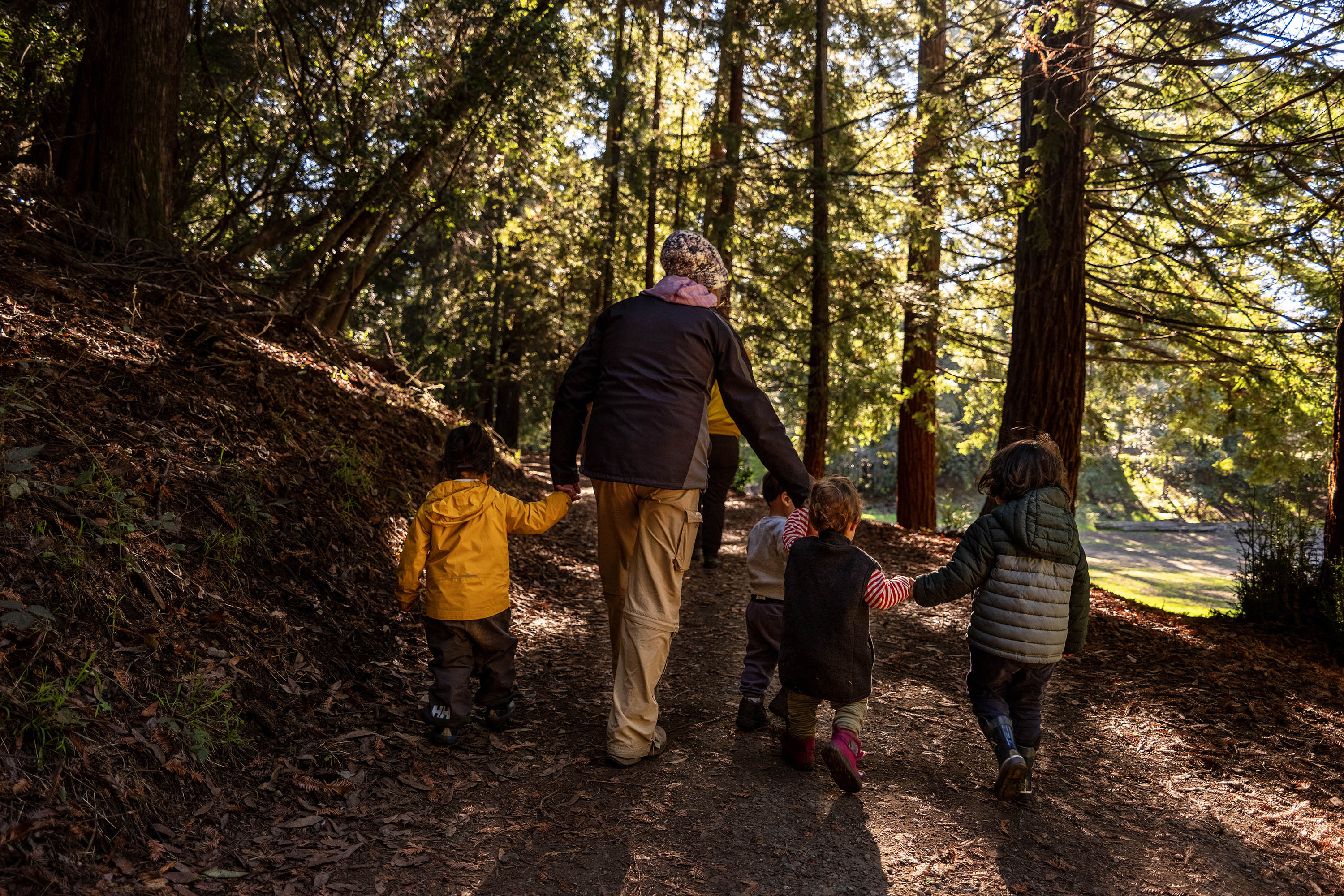 carranza_02 A senior woman holds hands with a group of four toddlers as they walk on a nature trail in a forest covered in dappled sunlight.