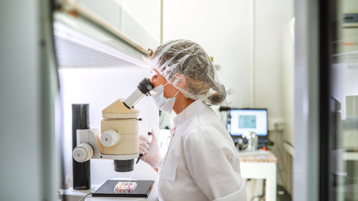 High Fertility Costs Push Americans Abroad for IVF Treatment