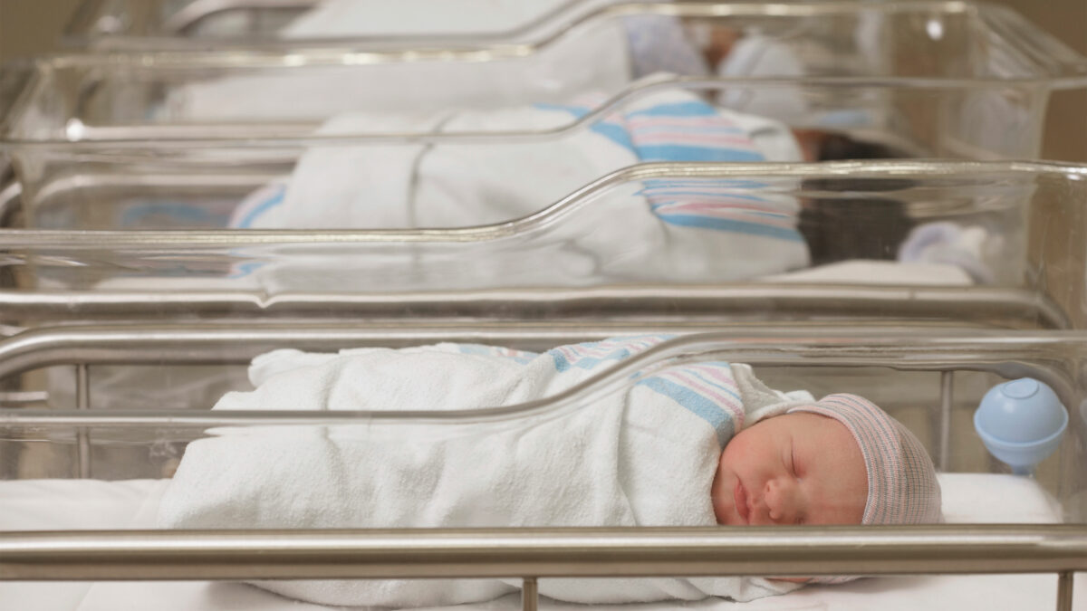 Newborn babies sleep in their cradles in a hospital nursery.