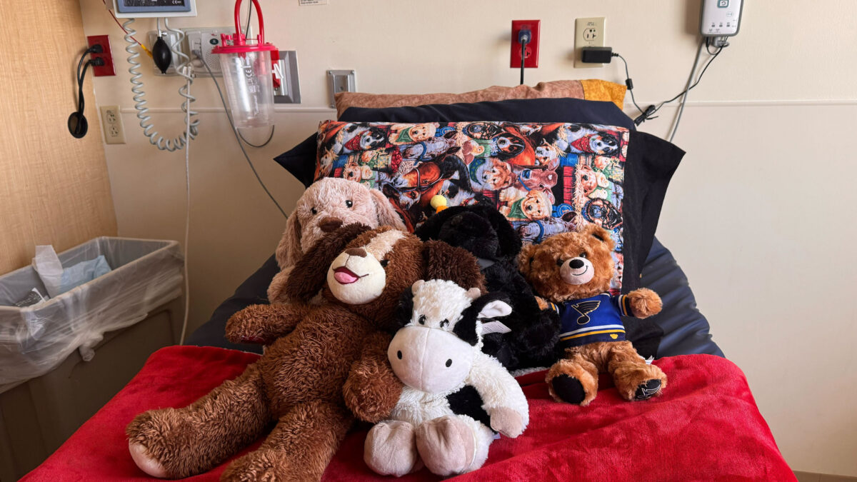 A hospital bed covered with a bright red blanket, a pillow with a pattern of puppies, and five stuffed animals.