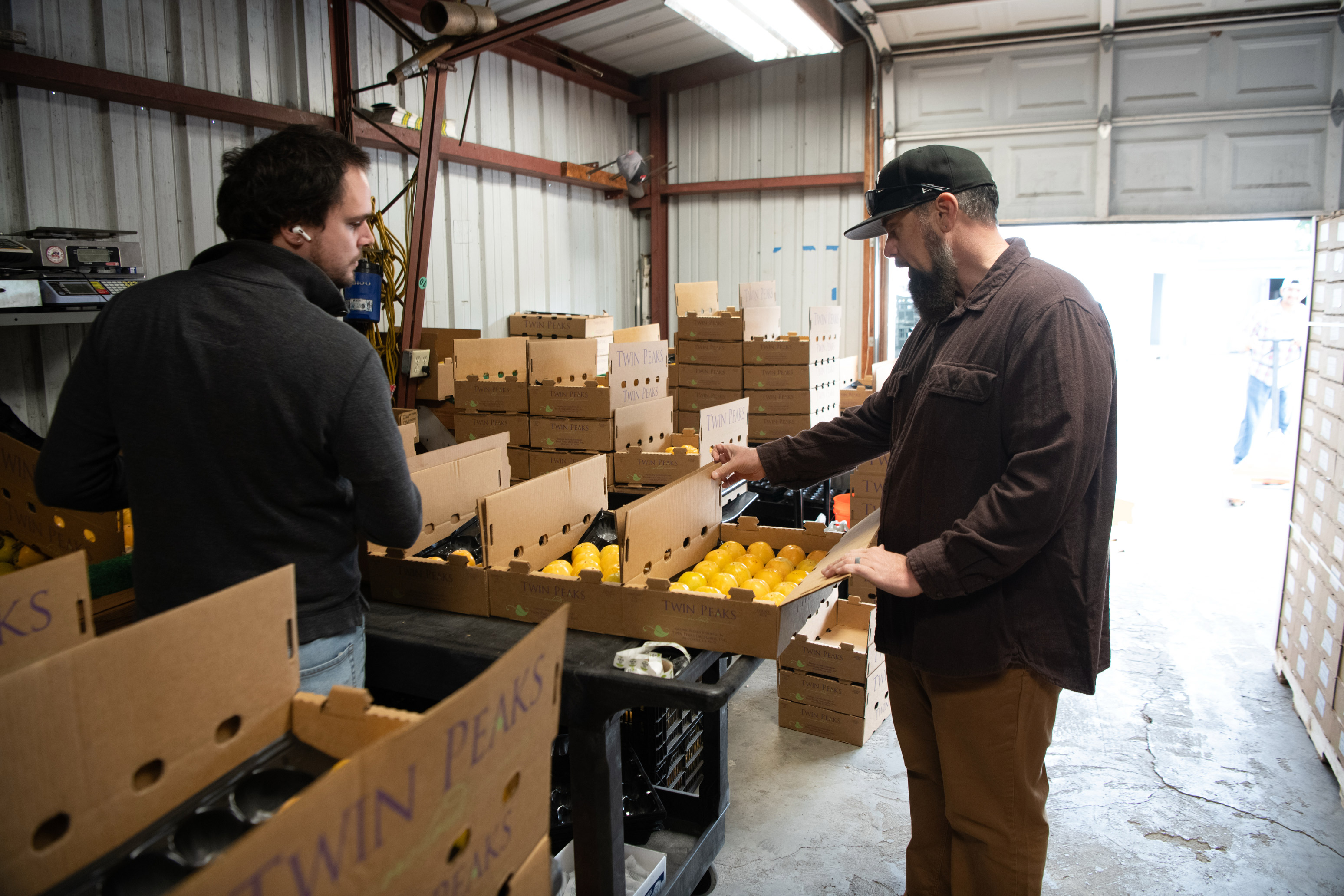 subsidies_miller_17-resize A photo of Justin Miller working with an employee to load persimmons into cardboard flats.